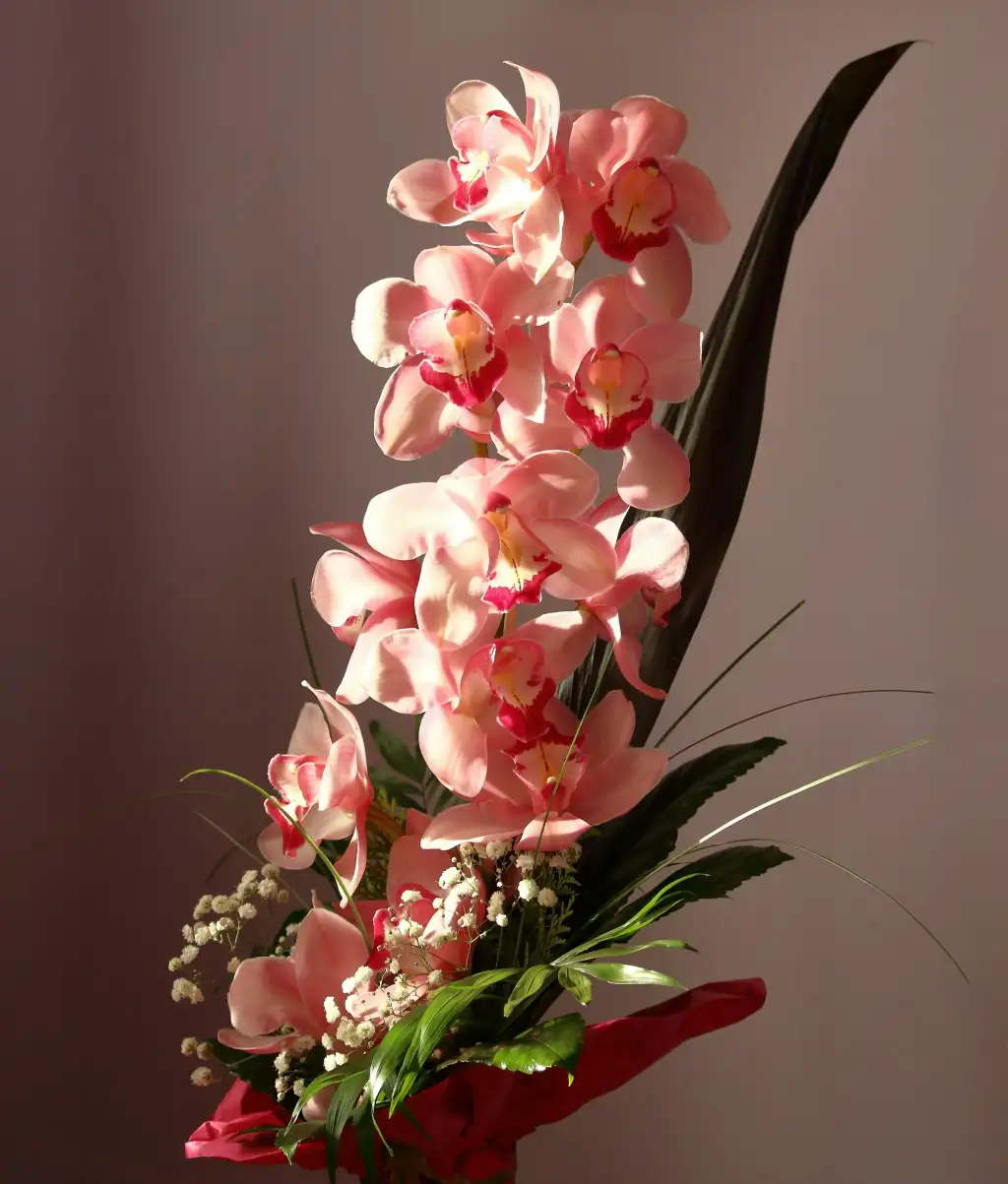 La majestueuse orchidée